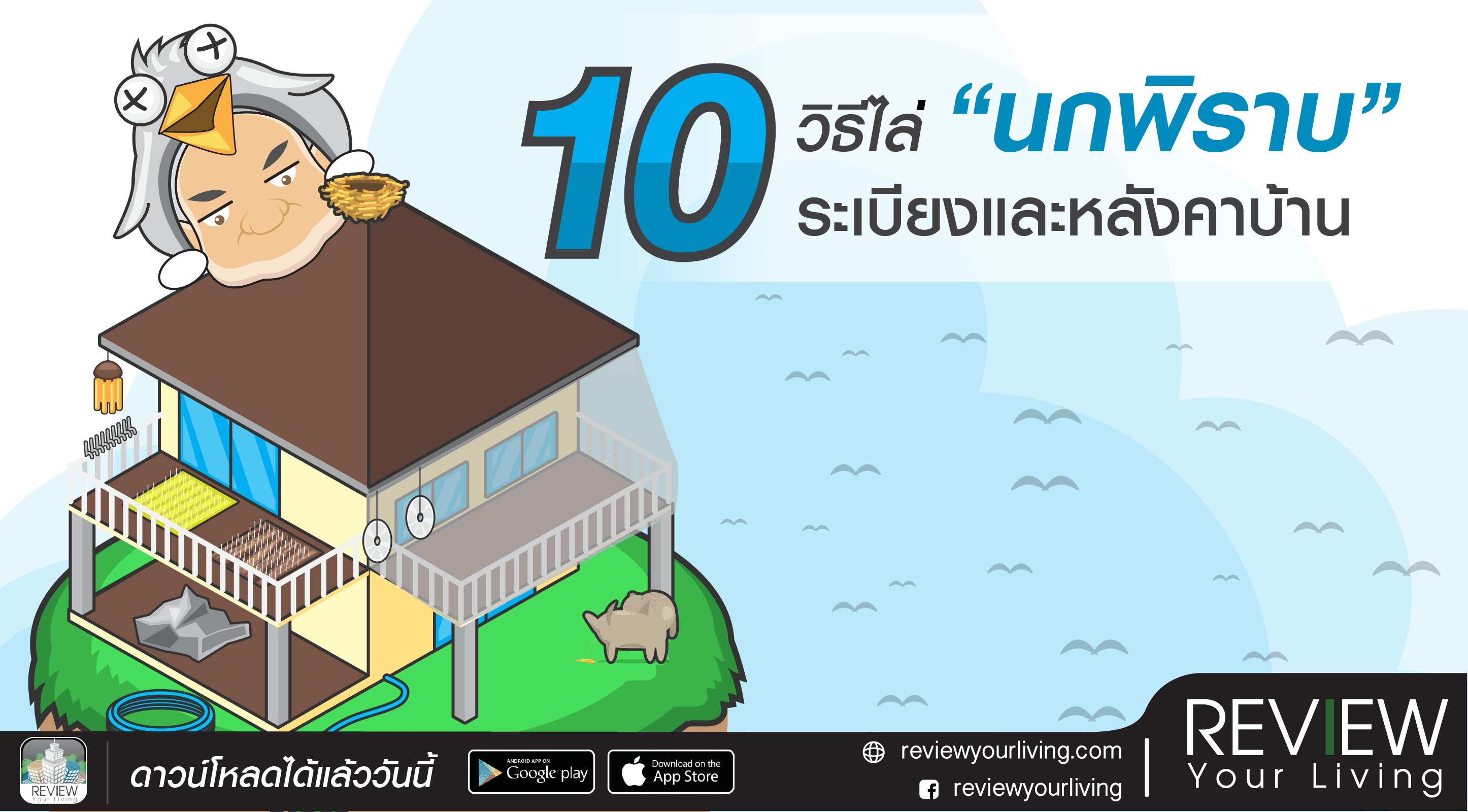 8-4-2-10วิธีไล่นกพิราบ-headline