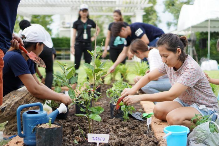 อารียา พรอพเพอร์ตี้