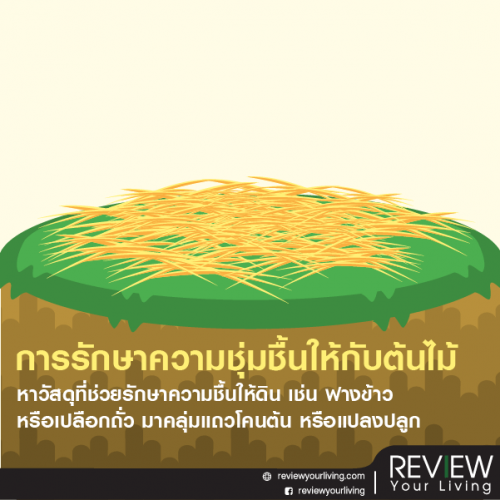 My Image 4