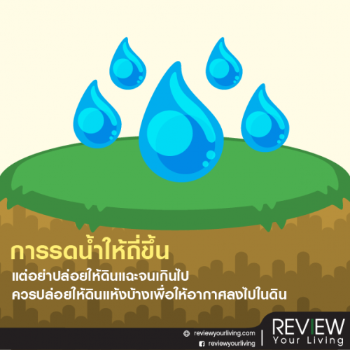 My Image 2
