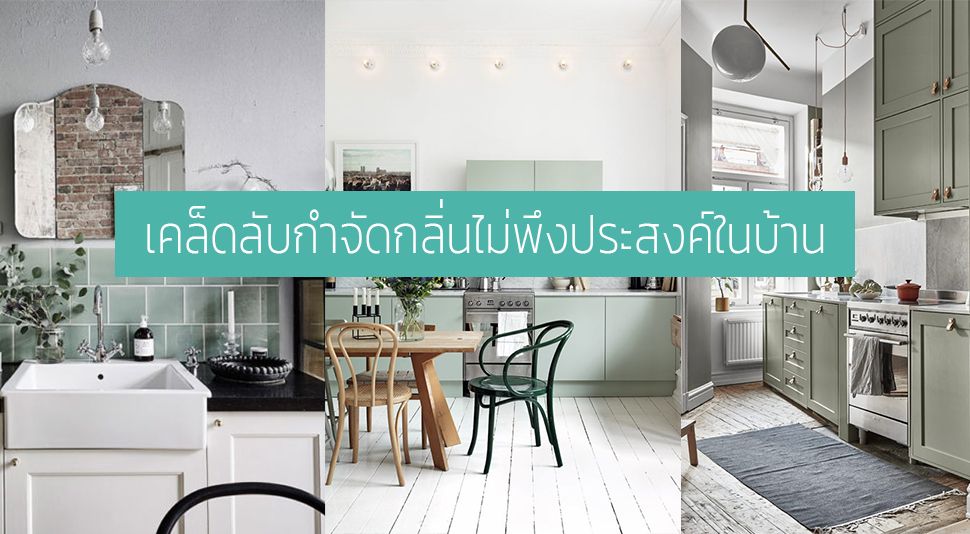 เคล็ดลับกำจัดกลิ่นไม่พึงประสงค์ในบ้าน