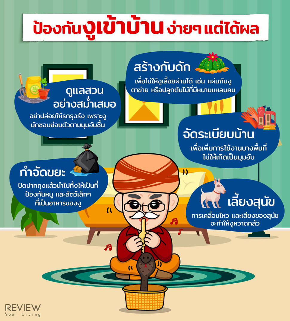 Infographic วิธีป้องกันงูเข้าบ้าน ง่ายๆ แต่ได้ผล 1