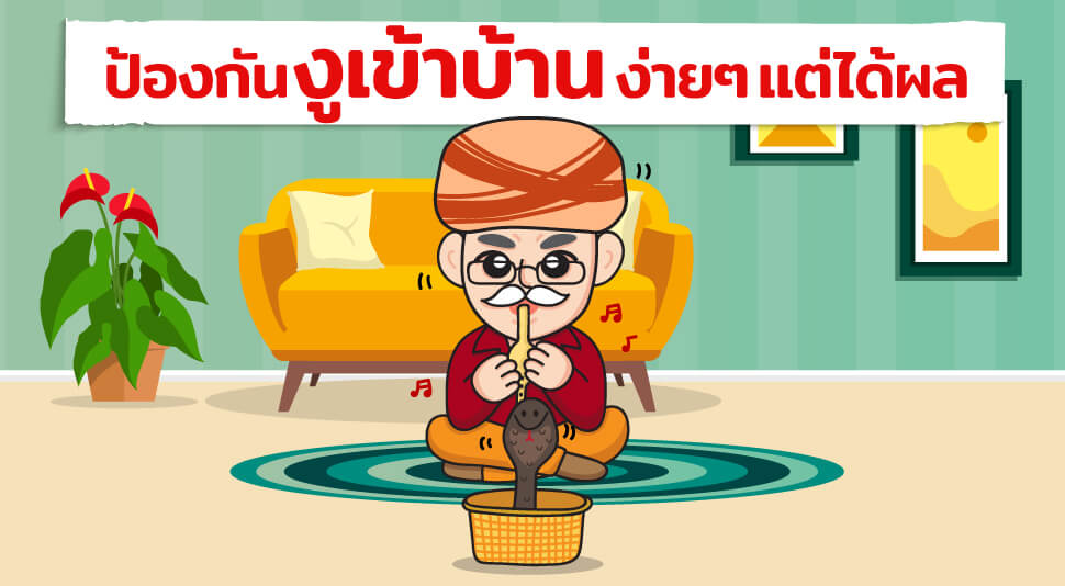 Infographic วิธีป้องกันงูเข้าบ้าน ง่ายๆ แต่ได้ผล 2