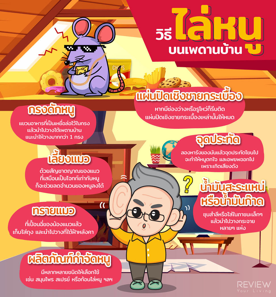 Infographic วิธีไล่หนูบนเพดานบ้าน 1