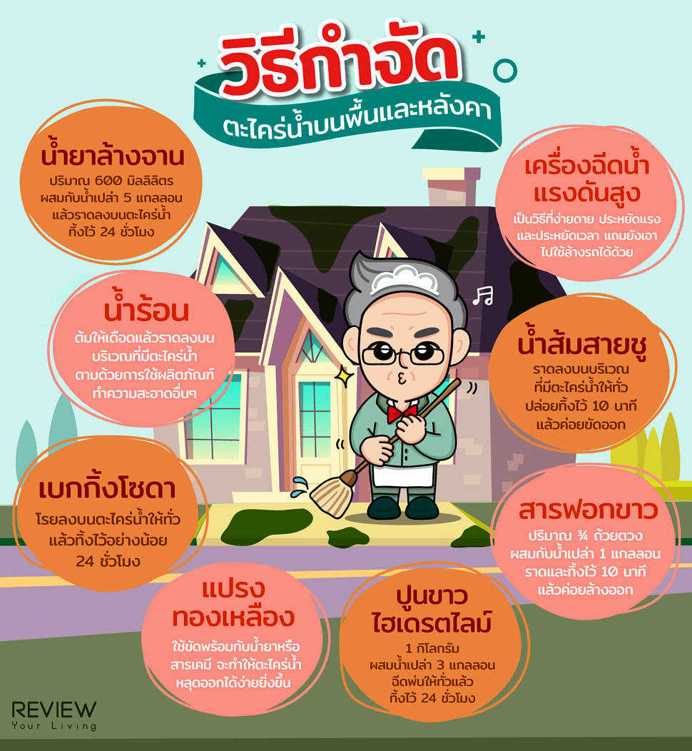 Infographic วิธีกำจัดตะไคร่น้ำบนพื้นและหลังคา