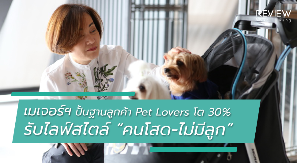 Lo Feature Image Mjd Pet Lover