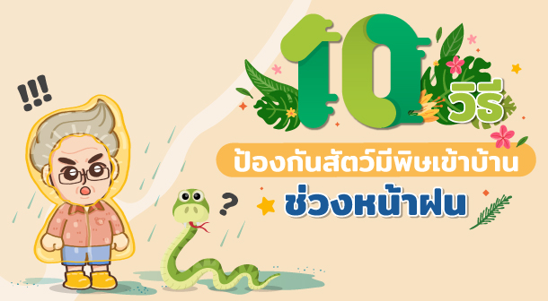 10 วิธีป้องกันสัตว์มีพิษเข้าบ้าน ช่วงหน้าฝนfeature