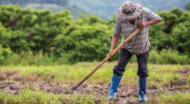 Land Tax Farm