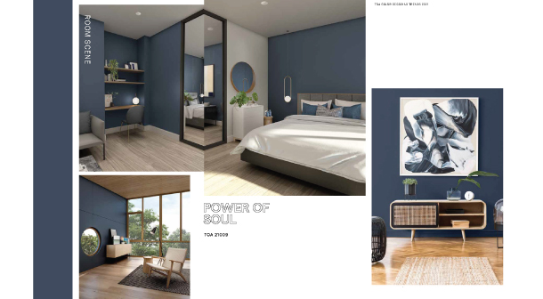 Toa Trend Color 2021 4