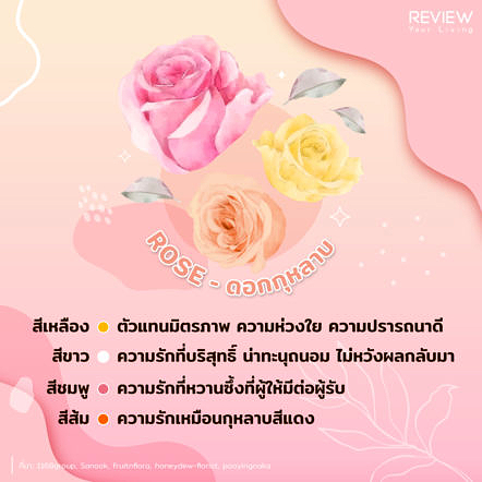 Ryl Info Flower Valentine 1