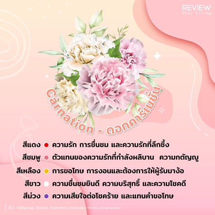 Ryl Info Flower Valentine 3