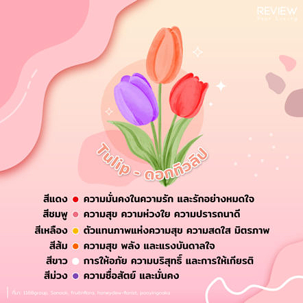 Ryl Info Flower Valentine 4
