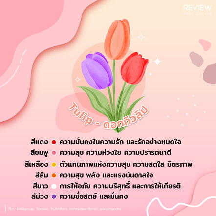 Ryl Info Flower Valentine 4