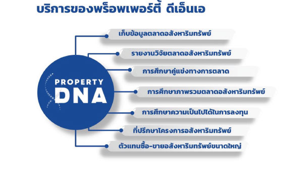 Property Dna Service