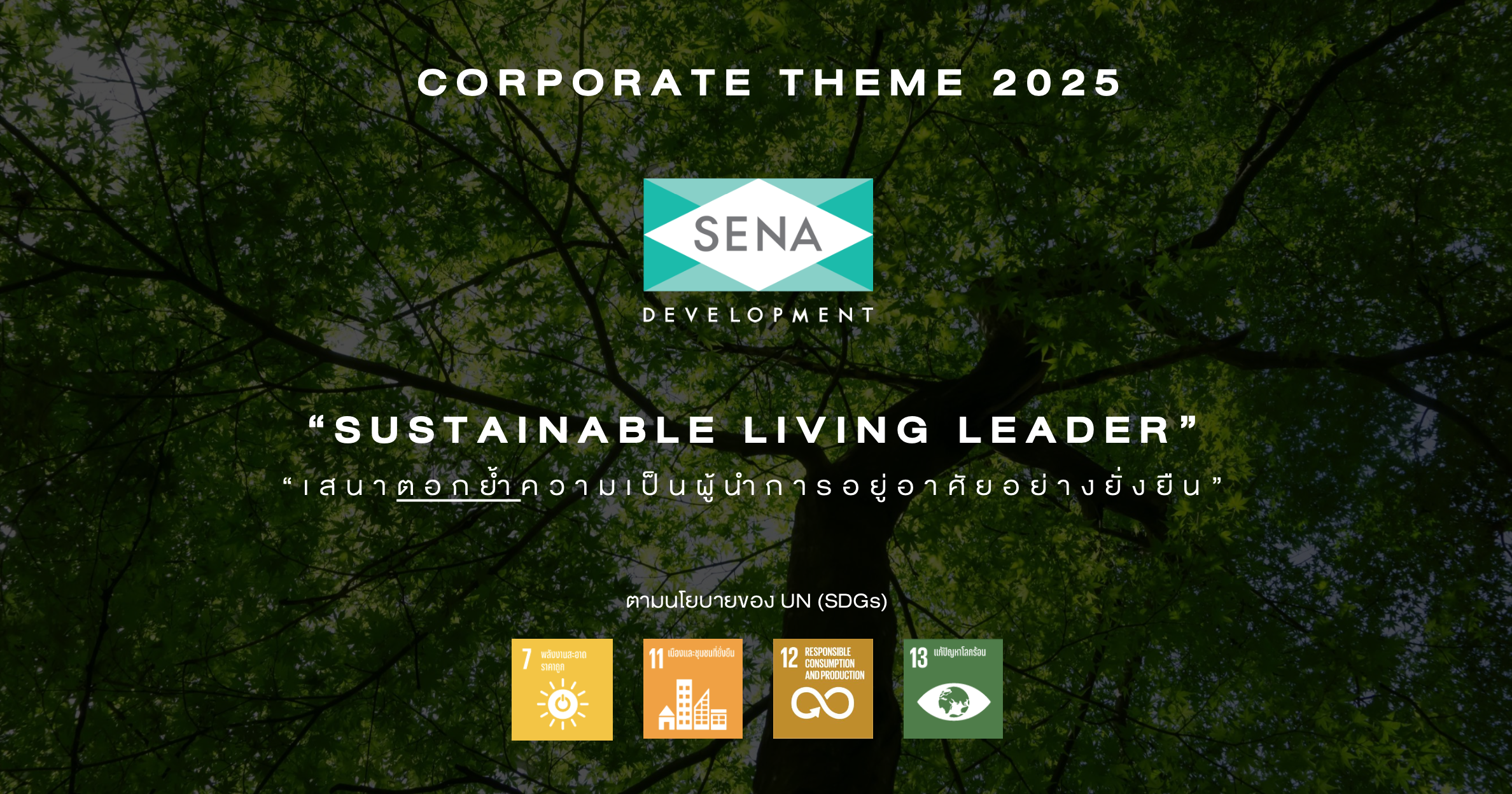 Sena Year 2025 Feature