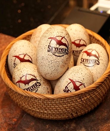 04_AWC_Skyflyer 04 Awc Skyflyer